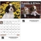  Puppies and Kittens Wall Calendar 