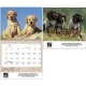  Puppies Wall Calendar 