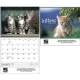  Kittens Wall Calendar 