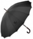  Umbrellas 