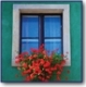  Home & Garden 