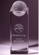  Perception Award 
