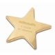  Brass Star Paperweight 