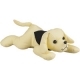  Autograph Animals Dog 