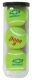  Penn Tennis Balls 