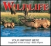  Game Animals Wall Calendar 