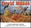  David Maass Birds Calendar 