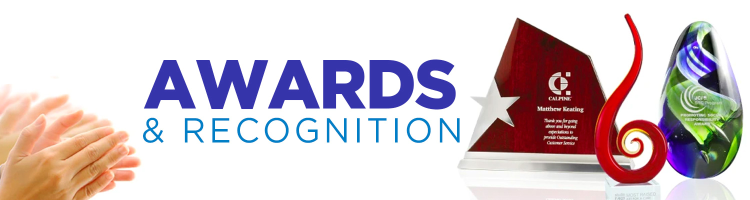 Corporate Awards Employee Recognition Awards