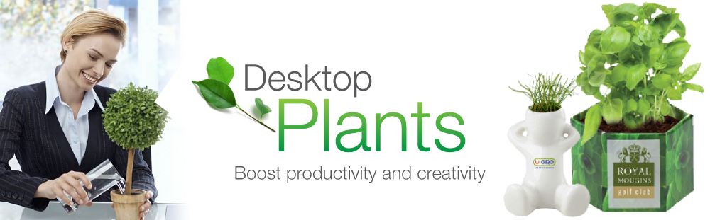 Office Plants Desk Plants