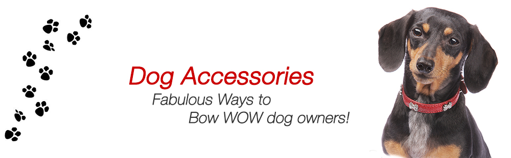 Custom Dog Accessories Dog Accessories