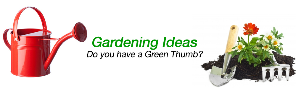 Gardening Gift Ideas Garden Gifts
