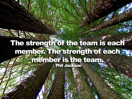 redwoods-teamwork