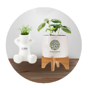 Grow Seeds & Shapes Grow Seeds & Shapes