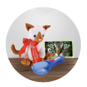 Cat Accessories Cat Accessories