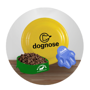Dog Accessories Dog Accessories