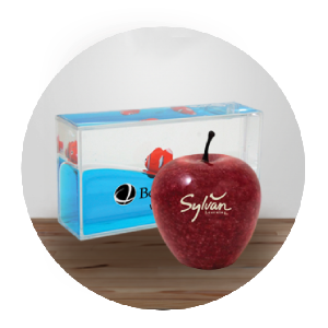 Paper Weights Paper Weights