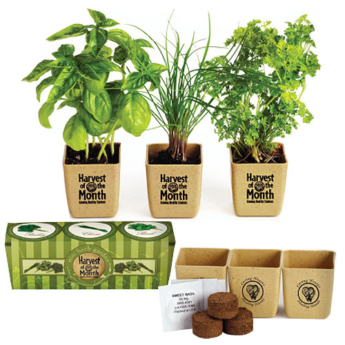 Promotional GrowPot Eco-Planter Herb 3-Pack