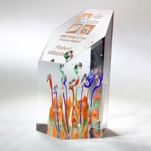 Promotional Fascination Art Glass Award