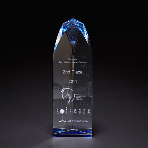 Fairmont Optically Perfect Award - Medium