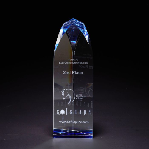 Promotional Fairmont Optically Perfect Award - Medium