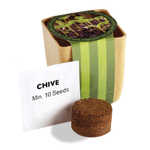 Flower Pot Set with Chive Seeds 