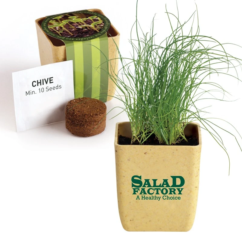 Promotional Flower Pot Set with Chive Seeds 