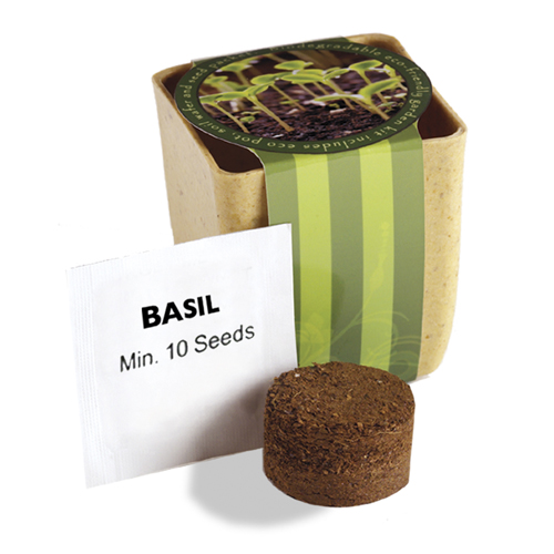Custom Flower Pot Set with Basil Seeds