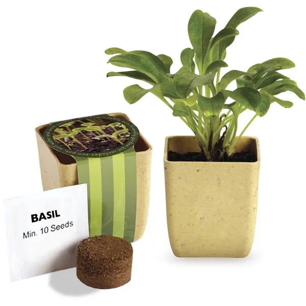 Promotional Flower Pot Set with Basil Seeds 