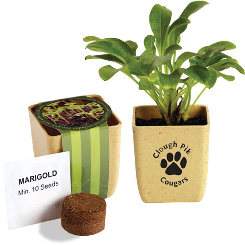 Promotional Flower Pot Set with Marigold Seeds