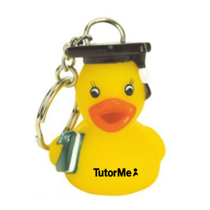 Promotional Rubber Graduate Duck Key Chain