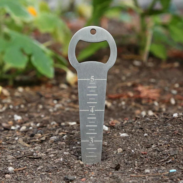 Promotional Evergreen Stainless Seed Depth Measuring Tool