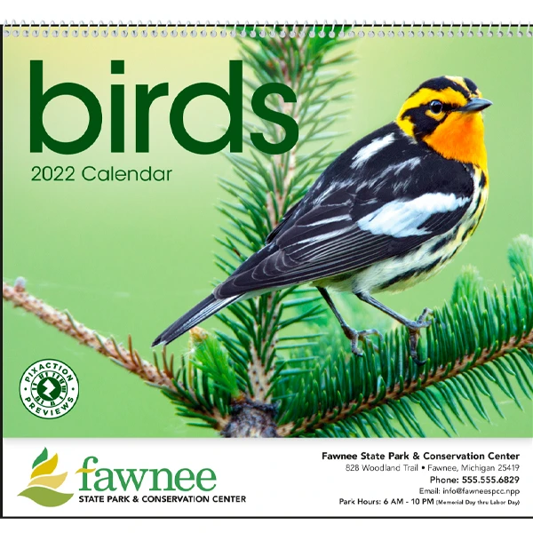 Promotional Intriguing Birds Wall Calendar