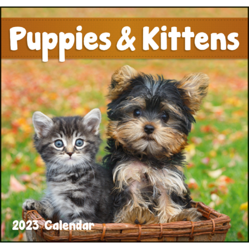 Puppies & Kittens - Mini Calendar 