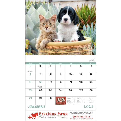 Puppies and Kittens Wall Calendar