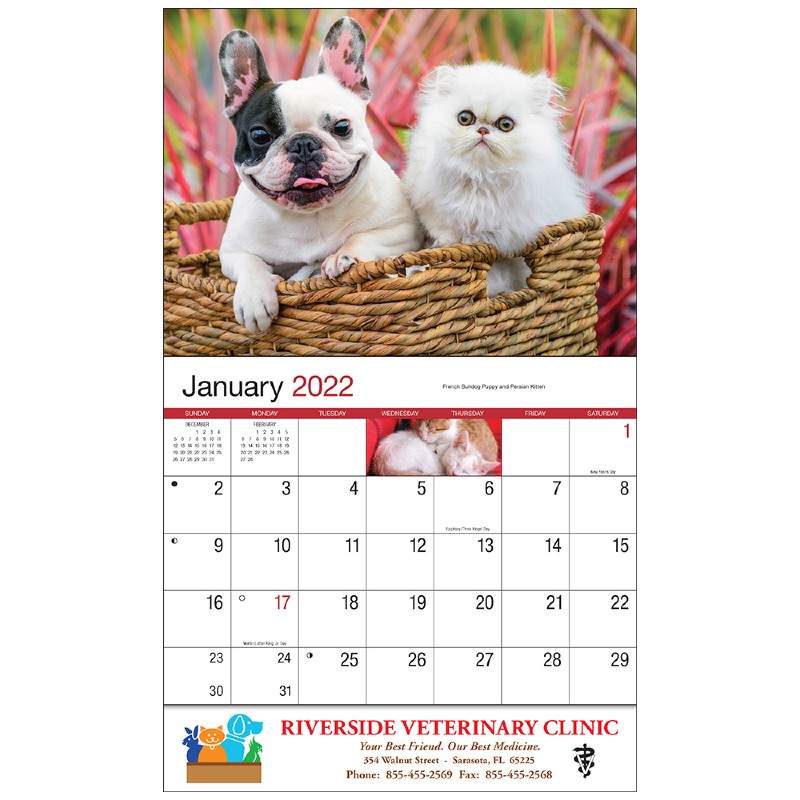 Four Paws Wall Calendar Pets & Animals Calendars 1.56 Ea