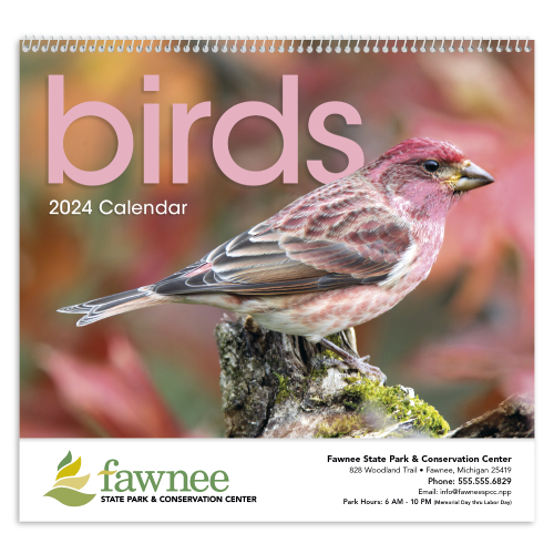 Promotional Intriguing Birds Wall Calendar