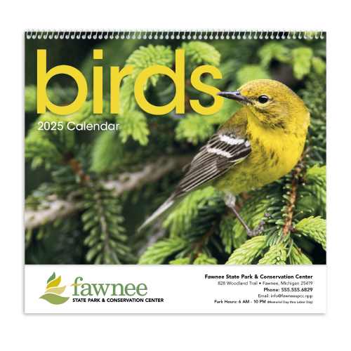 Promotional Intriguing Birds Wall Calendar