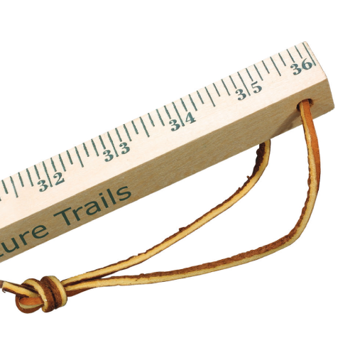 Promotional Walking Stick