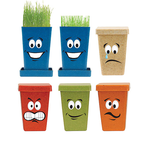 Promotional Expression Planter