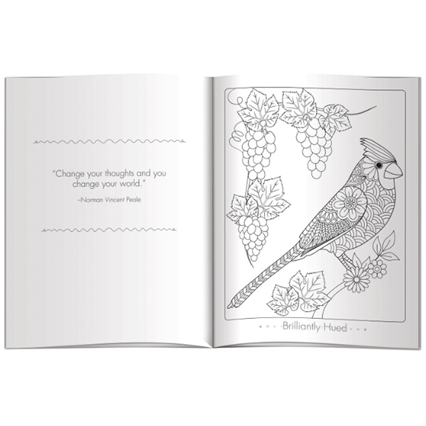Color Comfort-Color Mediation Birds