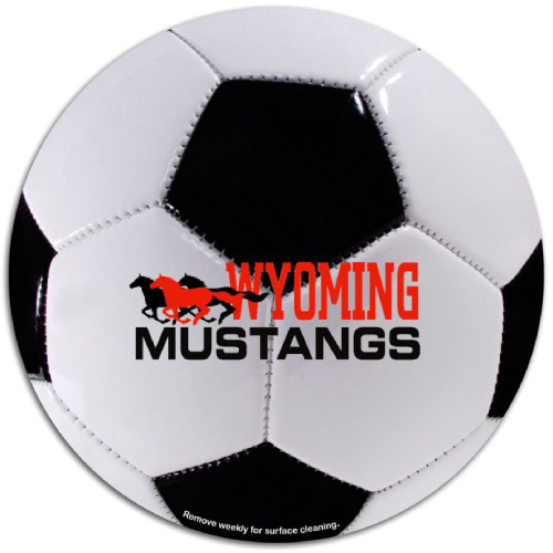 Promotional Soccer 5-3/4 Diameter Car Sign Magnet