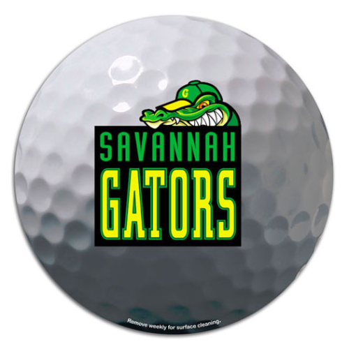 Promotional Golf 5-3/4 Diameter Car Sign Magnet