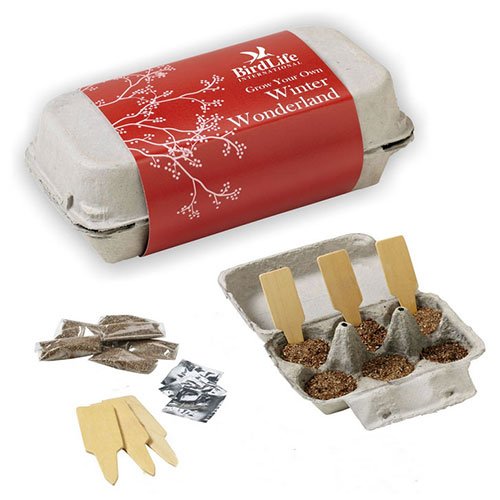 Promotional Grow-Your-Own Kit