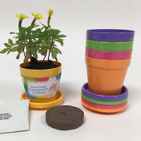 View Image 4 of Mini Grow Kits