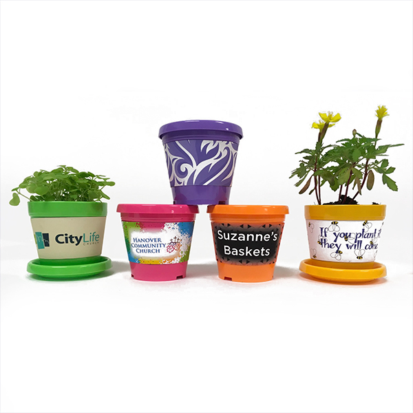 Promotional Mini Grow Kits