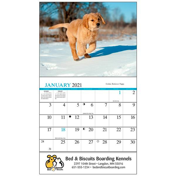 Four Paws Mini Calendar Pets & Animals Calendars 1.03 Ea