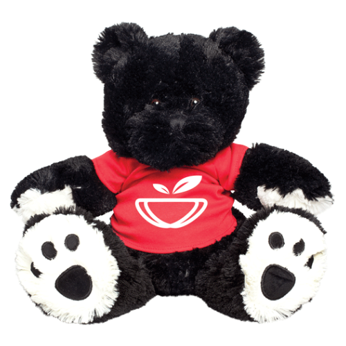 Soft Black Teddy Bear