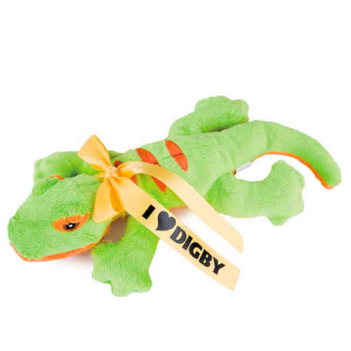 Promotional Green and Orange Lizard