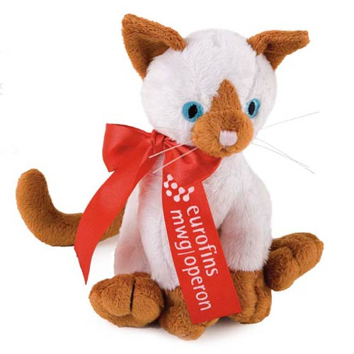 Promotional Extra Soft Siamese Cat