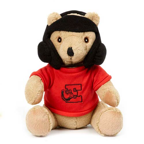 Promotional Wrestler Sport Bear